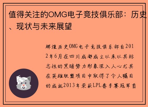 值得关注的OMG电子竞技俱乐部：历史、现状与未来展望